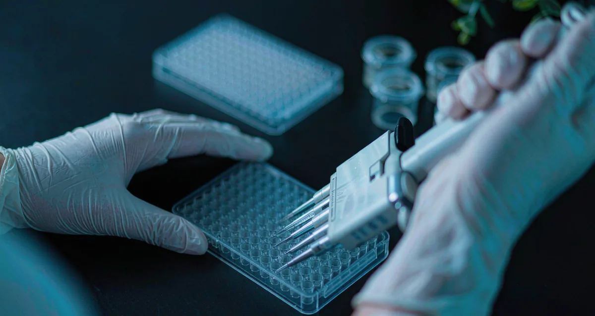 Multichannel pipetting into a 96-well microplate