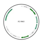 Plasmid map of FAAV9-9863