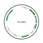 Plasmid map of FAAV9-9864
