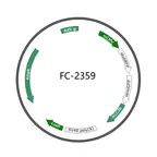 Plasmid map of FAC2359