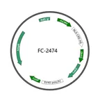 Plasmid map of FAC2474