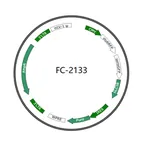 Plasmid map of FLC2133