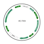 Plasmid map of FLC7353